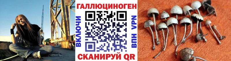 Псилоцибиновые грибы MAGIC MUSHROOMS  Новосиль 